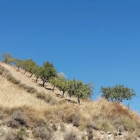 Casa vacanze Luby Cortijo Eras *